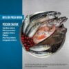 Alimento para Perros Orijen Six Fish, 25 lbs