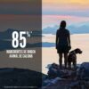 Alimento para Perros Orijen Six Fish, 25 lbs