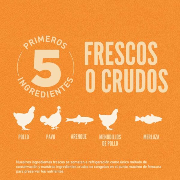 Alimento para Gatos Orijen Original, 4 lbs