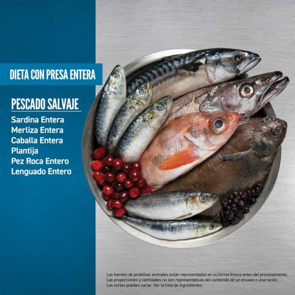 Alimento para Gatos Orijen Six Fish, 4 lbs