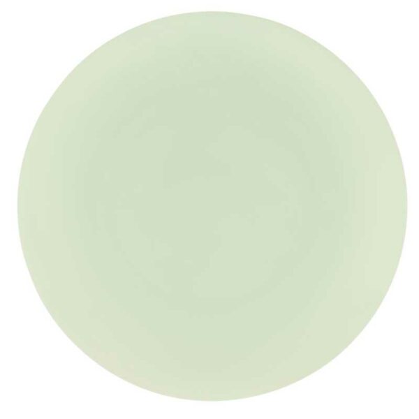 Set-de-Platos-Reusables-Diseño-Tulipanes-en-Fondo-Verde-7.5'-&-10'-Back Set de Platos Reusables Diseño Tulipanes en Fondo Verde 7.5" & 10"