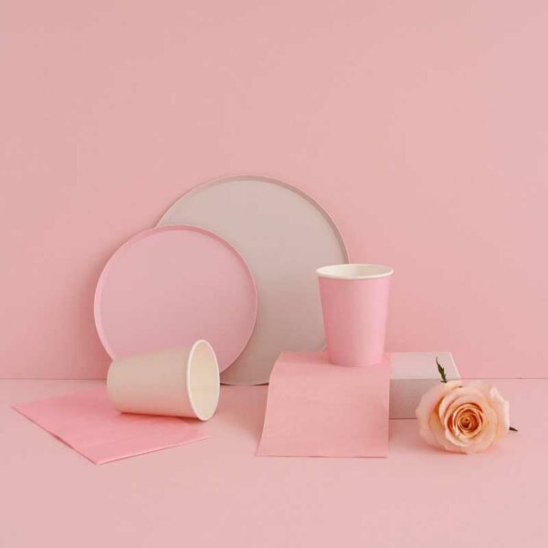 Platos Desechables Grandes con Motivo "Pretty in Pink" 9" (8 uds)