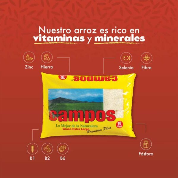 Arroz Campos Premium, 10 lbs