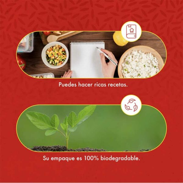 Arroz Campos Premium, 10 lbs