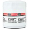 Filtro Motorcraft de Motor (BE8Z-6731-AB)