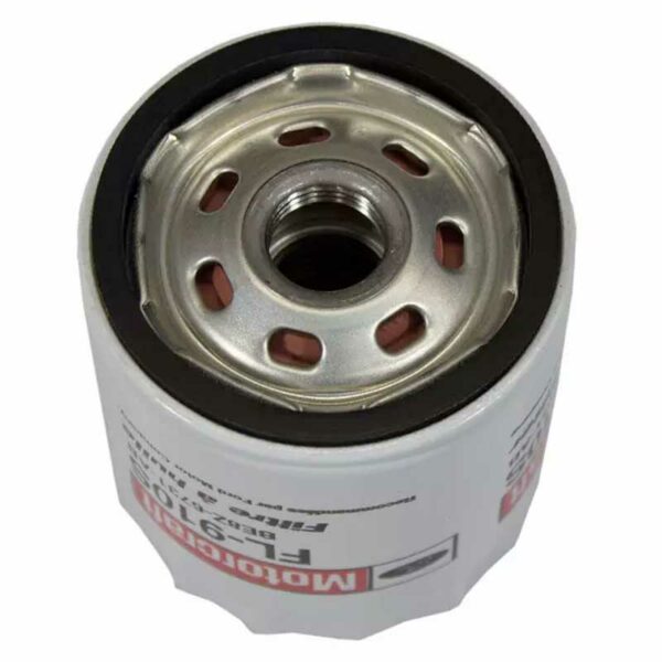 Filtro Motorcraft de Motor (BE8Z-6731-AB)