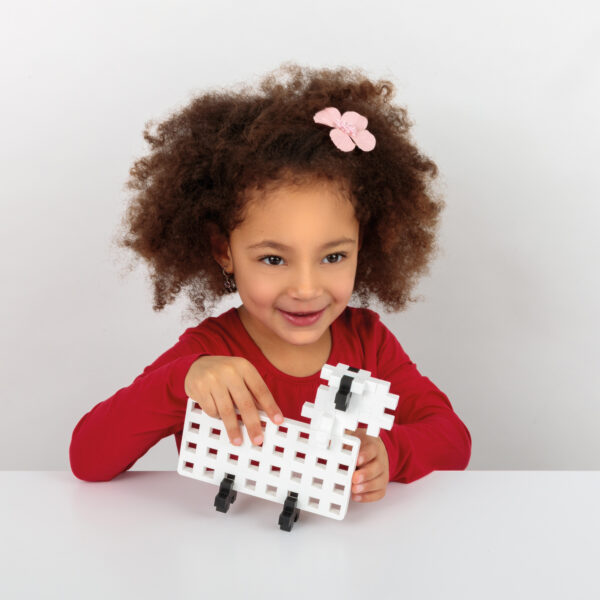 Juego Aprende a Construir con Piezas Grandes Plus-Plus