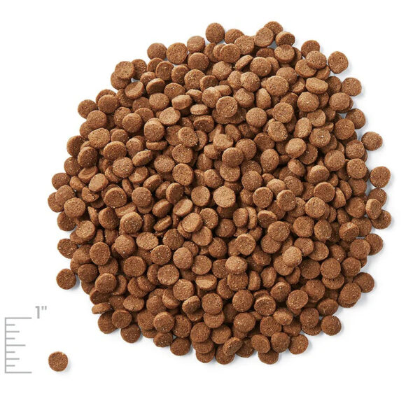 Alimento Seco para Gatos Solid Gold Indigo Moon Pollo Huevo GF, 6 lbs