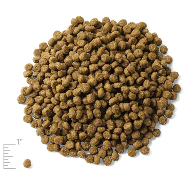 Alimento Seco para Gatos Solid Gold Let’s Stay In Pollo Lentejas y Manzana GF, 6 lbs