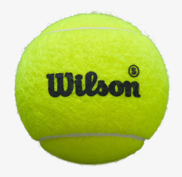 Pelotas de Padel Wilson Padel Premier Speed, 3 pelotas