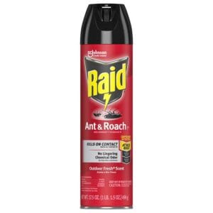 Pesticida Raid Mata Insectos Hormigas y Cucarachas, 17.5 oz