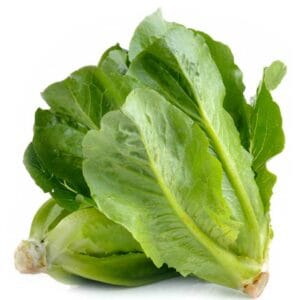 Lechuga Corazón Romana