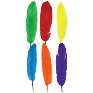 Plumas para Decoraciones Colores Surtidos (25 uds)
