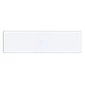 Panel 1' X 4' 48W 6500K LED Westinghouse